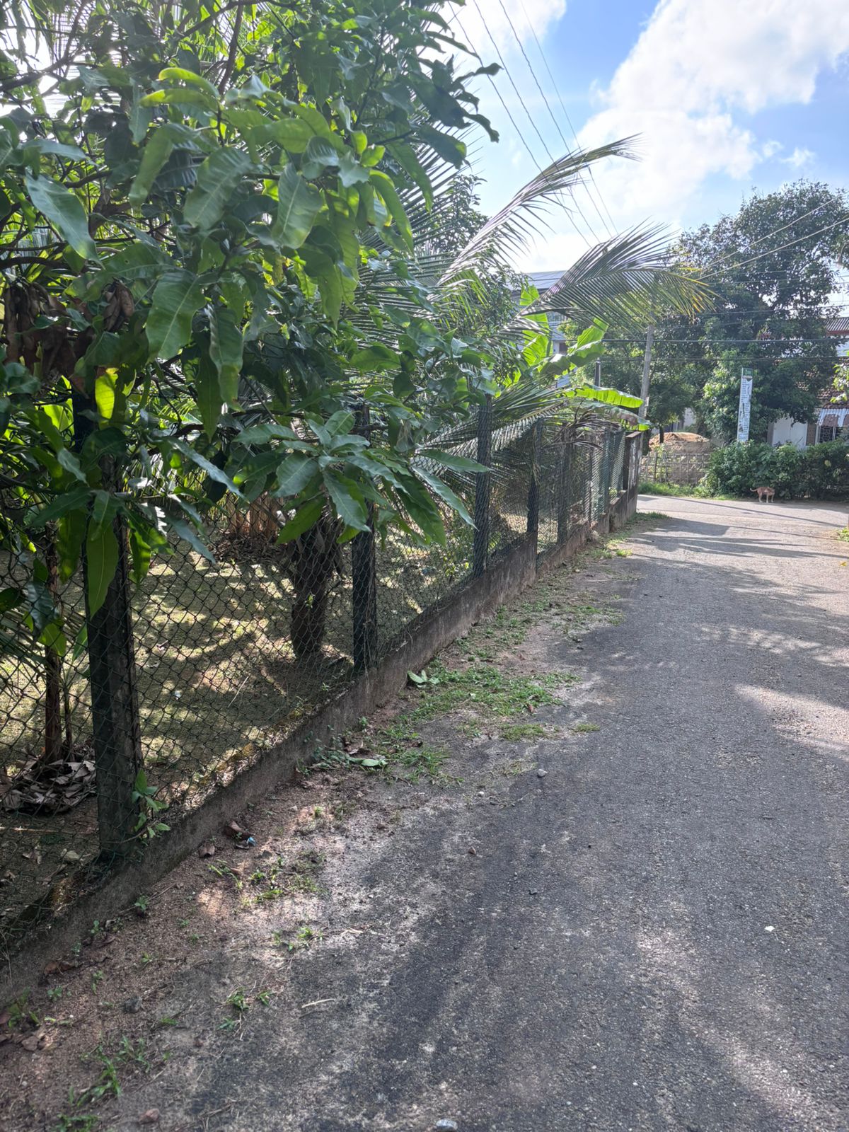 Valuable Land for Sale in Athurugiriya