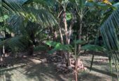 Valuable Land for Sale in Athurugiriya