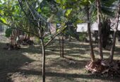 Valuable Land for Sale in Athurugiriya