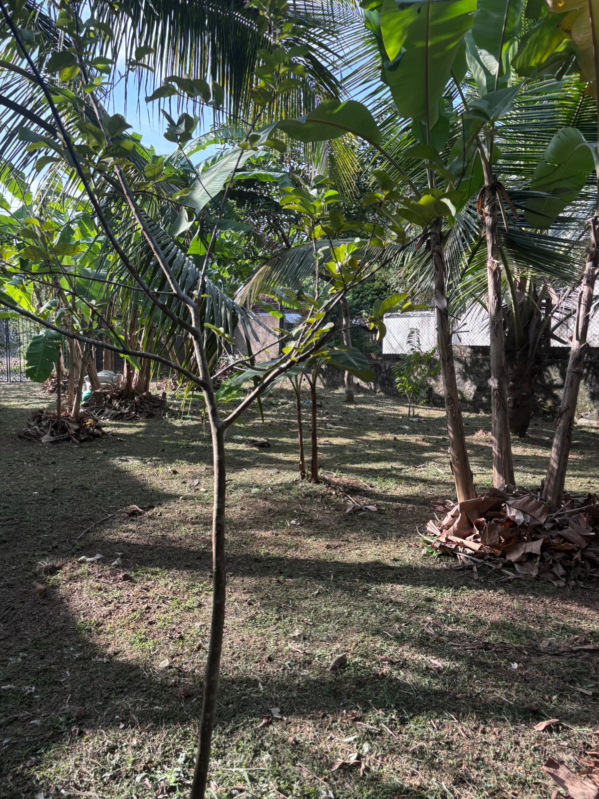 Valuable Land for Sale in Athurugiriya