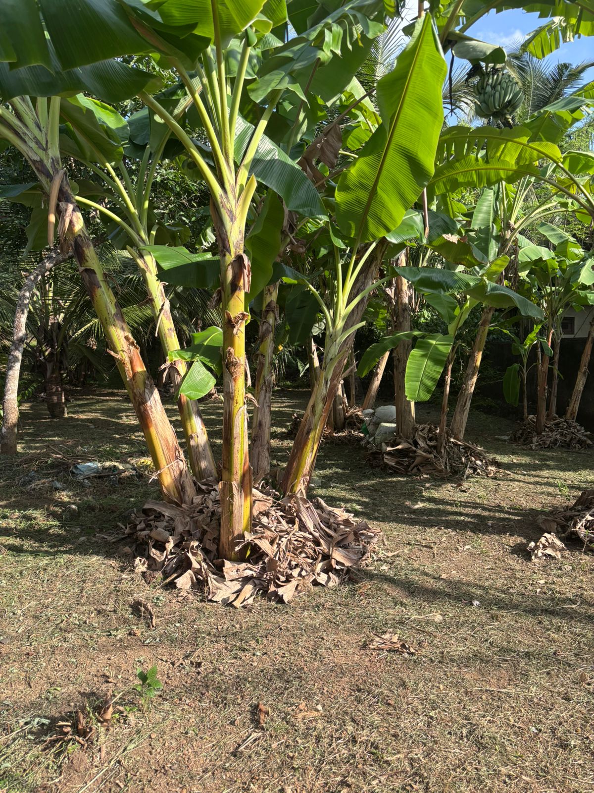 Valuable Land for Sale in Athurugiriya