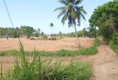 10 Acres Land for Sale Walahapitiya