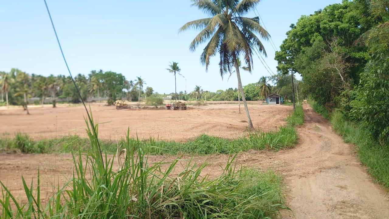10 Acres Land for Sale Walahapitiya