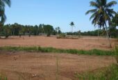 10 Acres Land for Sale Walahapitiya