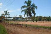 10 Acres Land for Sale Walahapitiya