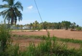 10 Acres Land for Sale Walahapitiya