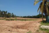 10 Acres Land for Sale Walahapitiya