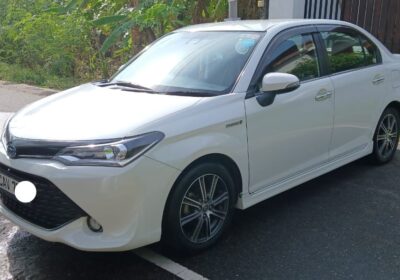 Toyota Axio 2017