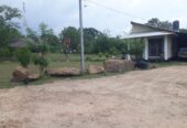 Serene Coconut Estate with Cottage for Sale in Karuwalagaswewa