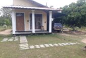 Serene Coconut Estate with Cottage for Sale in Karuwalagaswewa