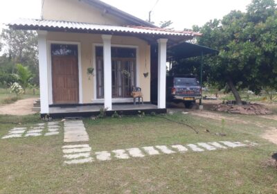 Serene Coconut Estate with Cottage for Sale in Karuwalagaswewa