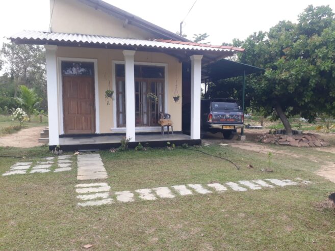 Serene Coconut Estate with Cottage for Sale in Karuwalagaswewa