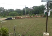 Serene Coconut Estate with Cottage for Sale in Karuwalagaswewa