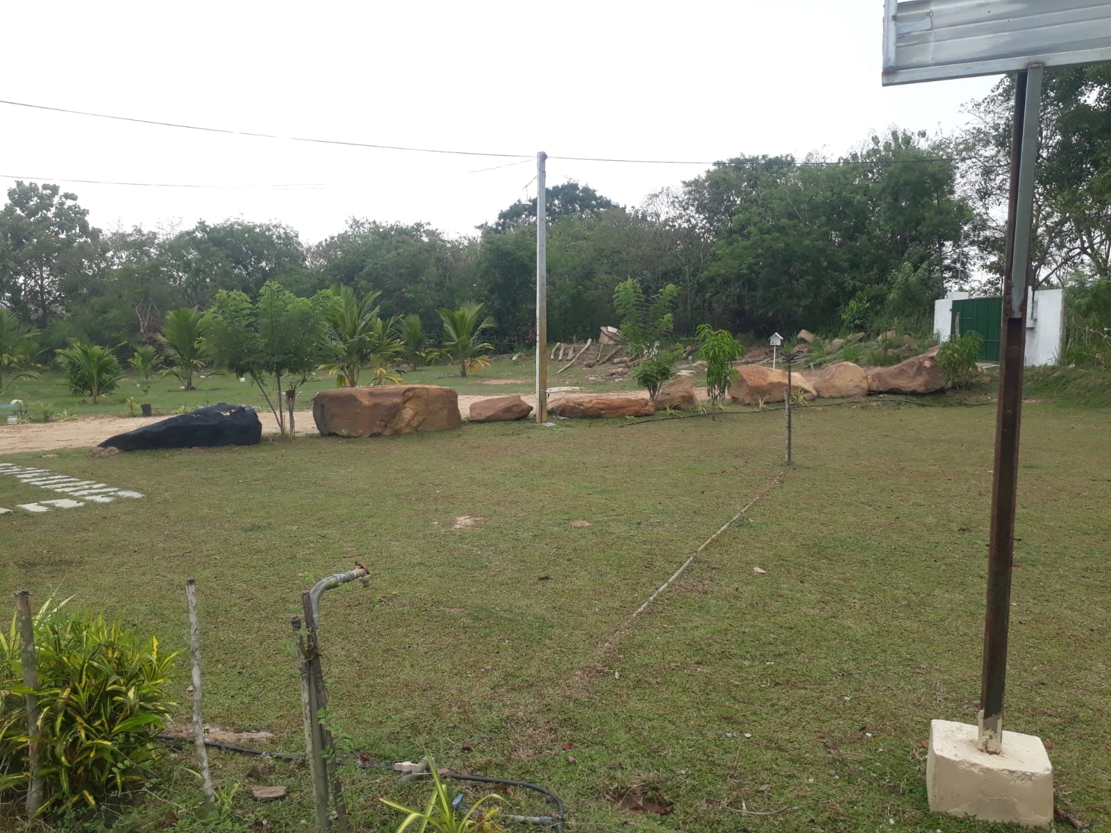 Serene Coconut Estate with Cottage for Sale in Karuwalagaswewa