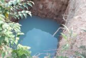 Serene Coconut Estate with Cottage for Sale in Karuwalagaswewa
