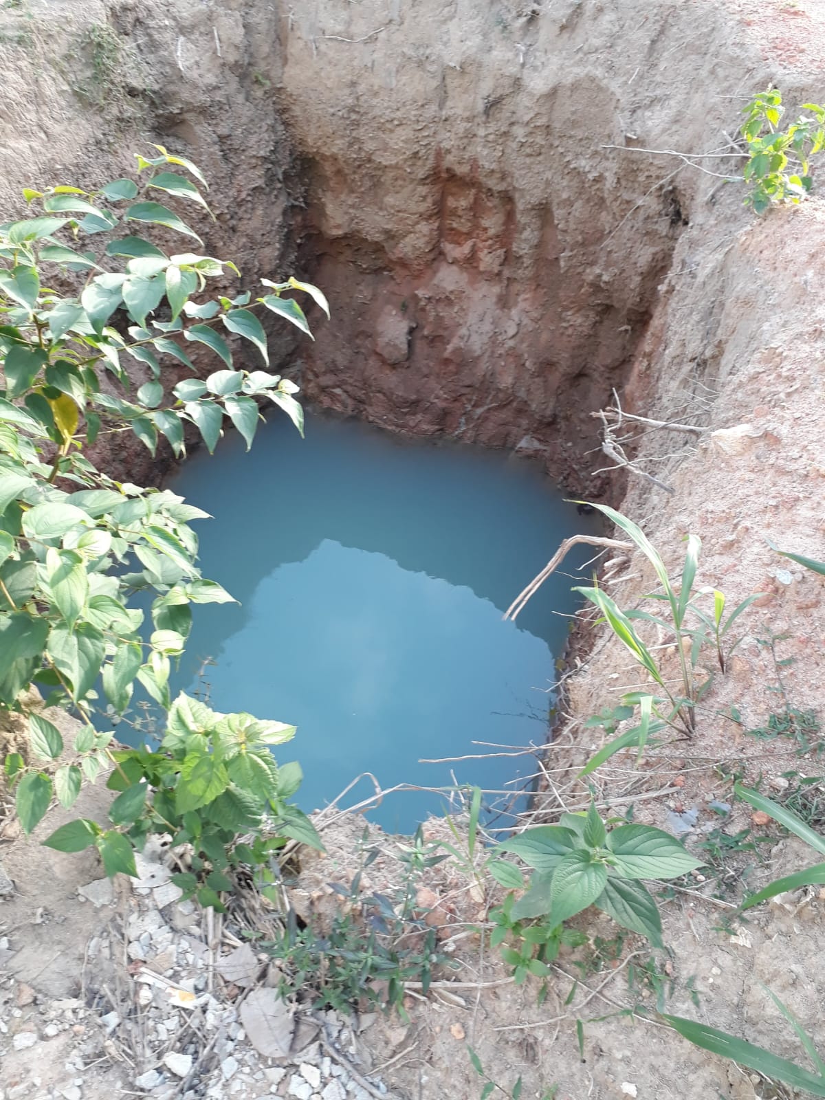 Serene Coconut Estate with Cottage for Sale in Karuwalagaswewa