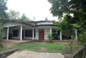 House for Sale Ampara