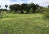 Land for Sale- Trincomalee