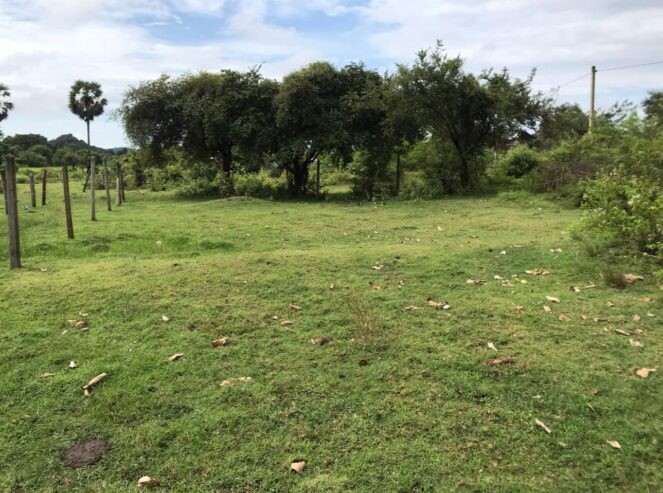 Land for Sale- Trincomalee