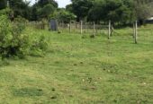 Land for Sale- Trincomalee