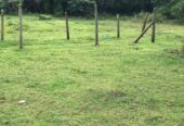 Land for Sale- Trincomalee