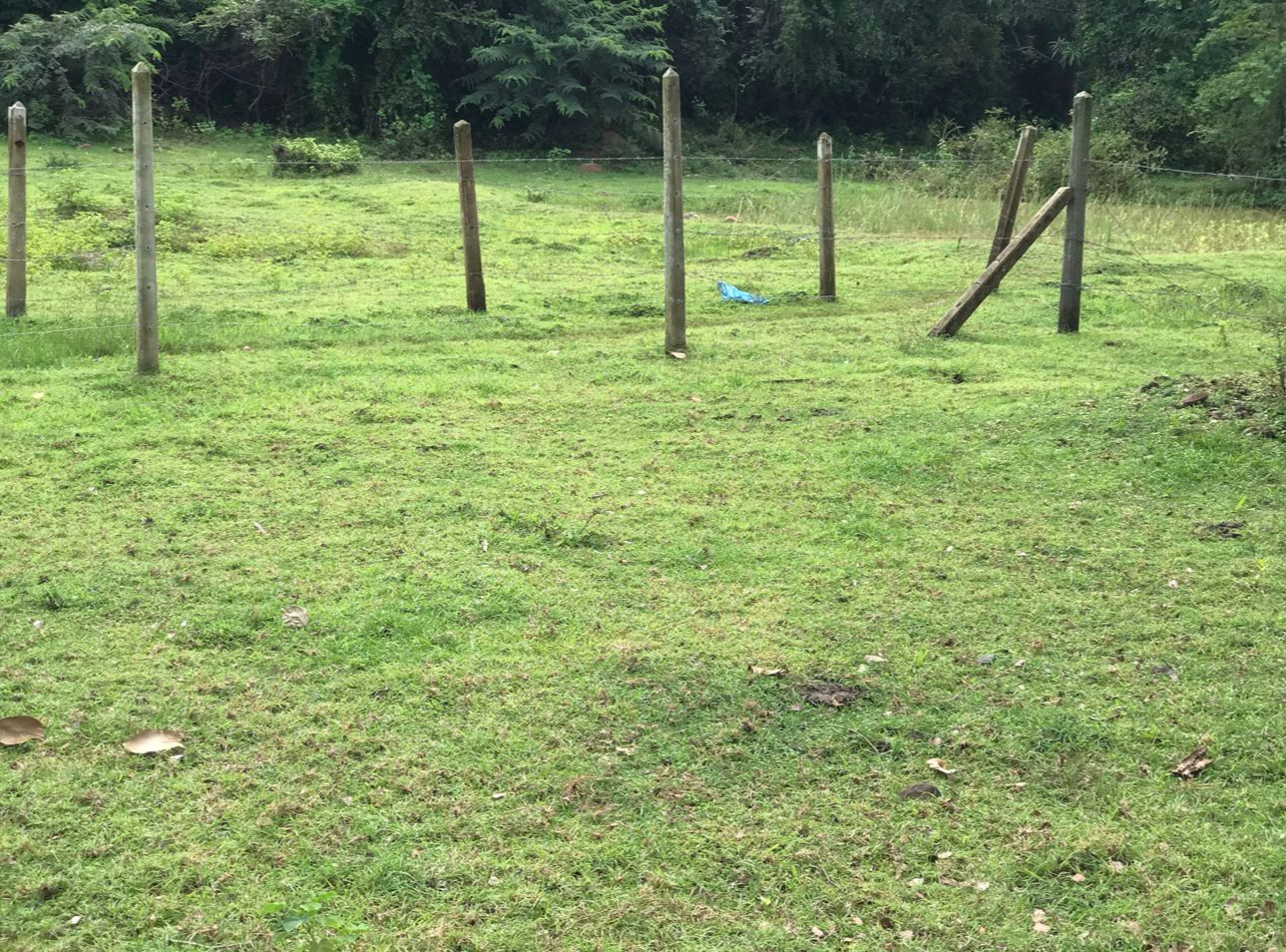 Land for Sale- Trincomalee