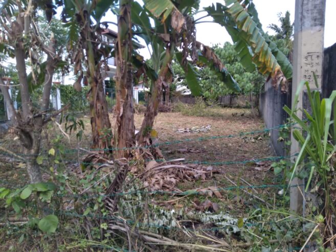Land for Sale – වටිනා ඉඩමක් විකිණීමට Galle