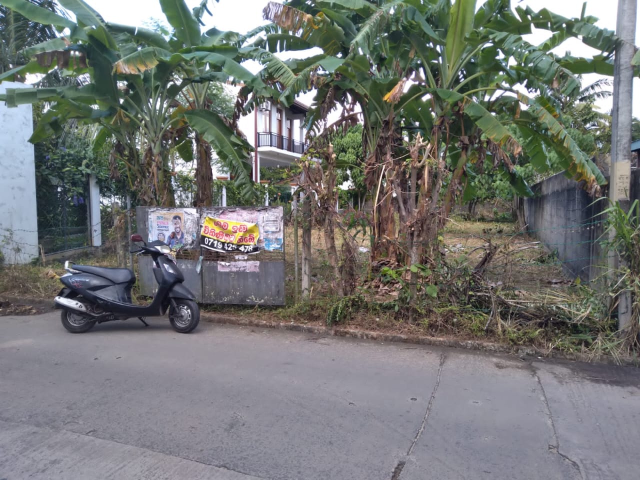 Land for Sale Galle- ගාල්ලේ වටිනා ඉඩමක් විකිණීමට