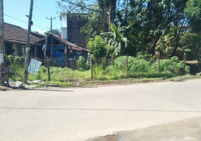 Shop with Land for Sale