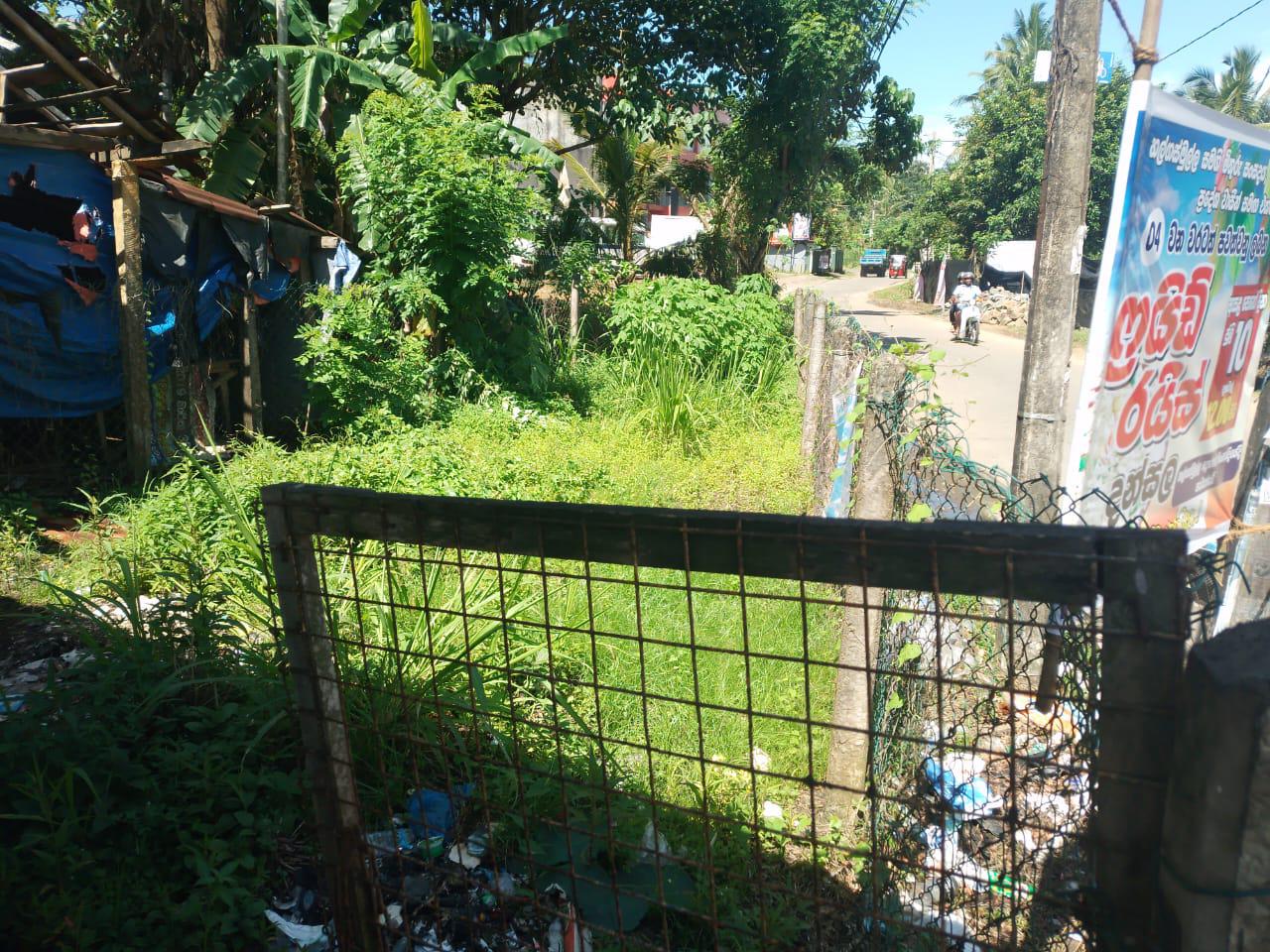 Shop with Land for Sale