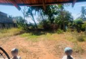 Residential Land for Sale Abepura