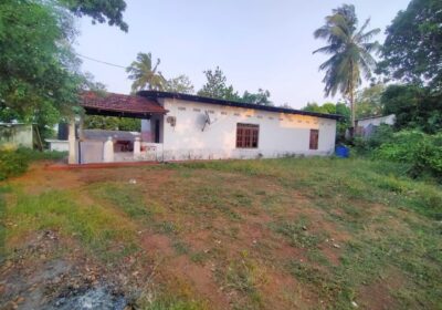 Residential Land for Sale Abepura