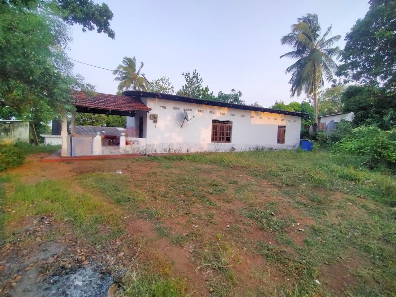 Residential Land for Sale Abepura