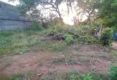 Residential Land for Sale Abepura