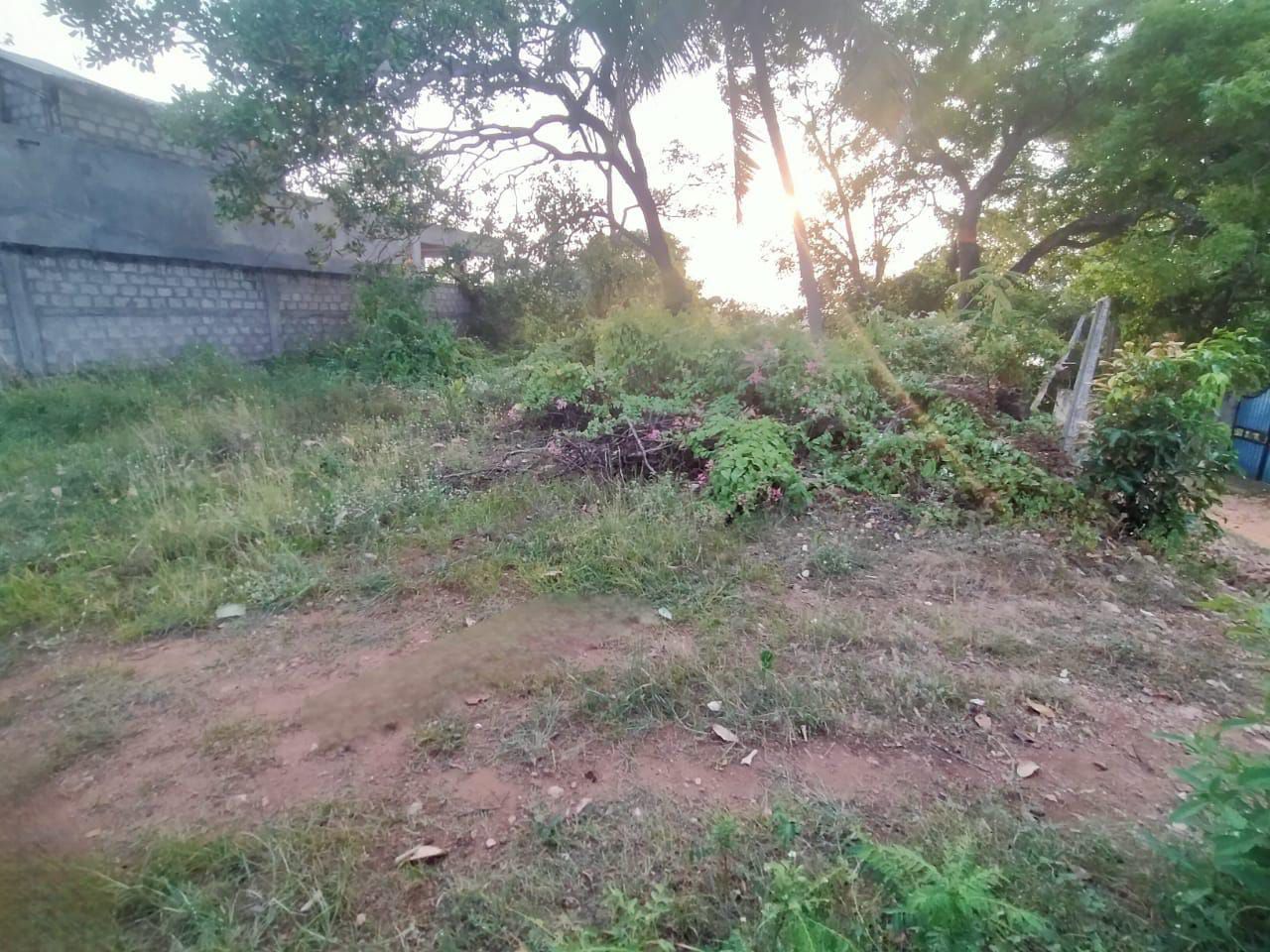 Residential Land for Sale Abepura