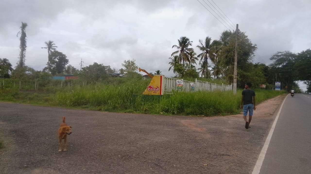 කුලියාපිටිය ඉඩමක් විකිණිම