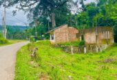 Land For Sale Peradeniya