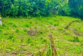 Land For Sale Peradeniya