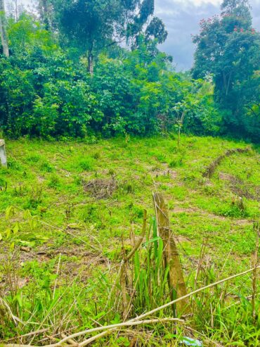 Land For Sale Peradeniya