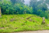 Land For Sale Peradeniya