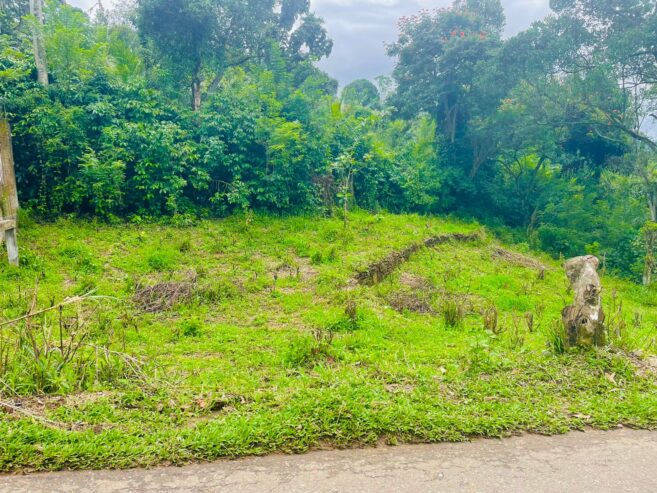 Land For Sale Peradeniya