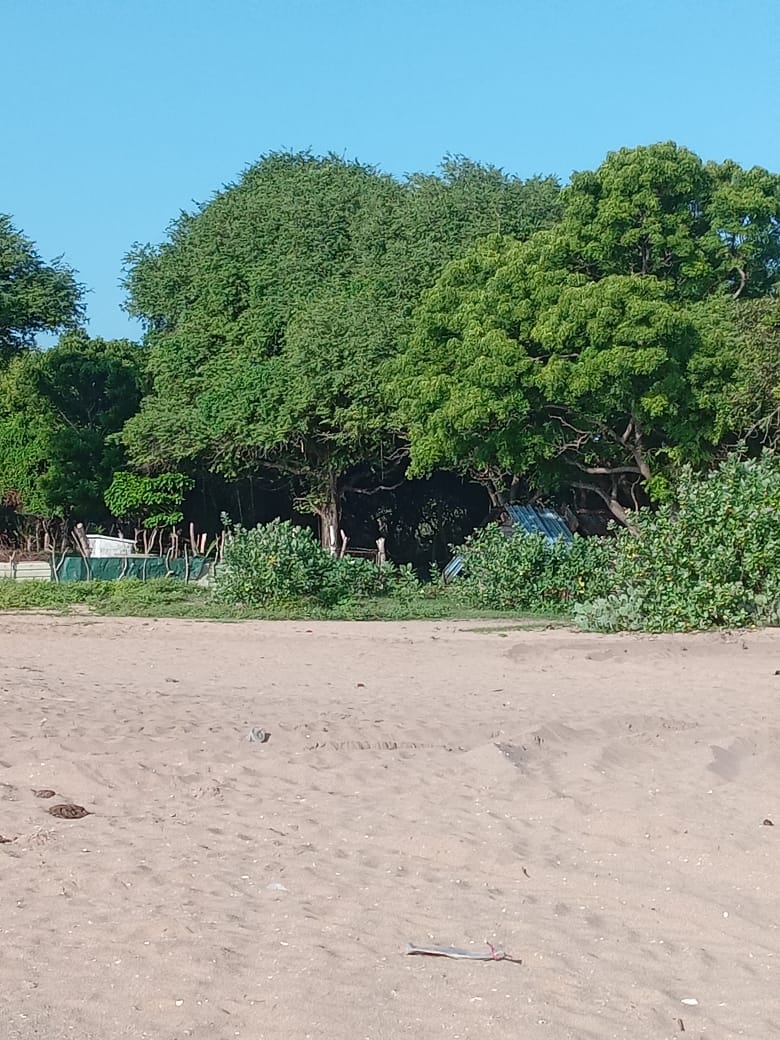 Sea view Cabana for Sale in Kuchchaveli beach