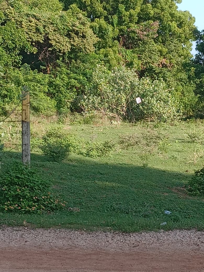 Sea view Cabana for Sale in Kuchchaveli beach