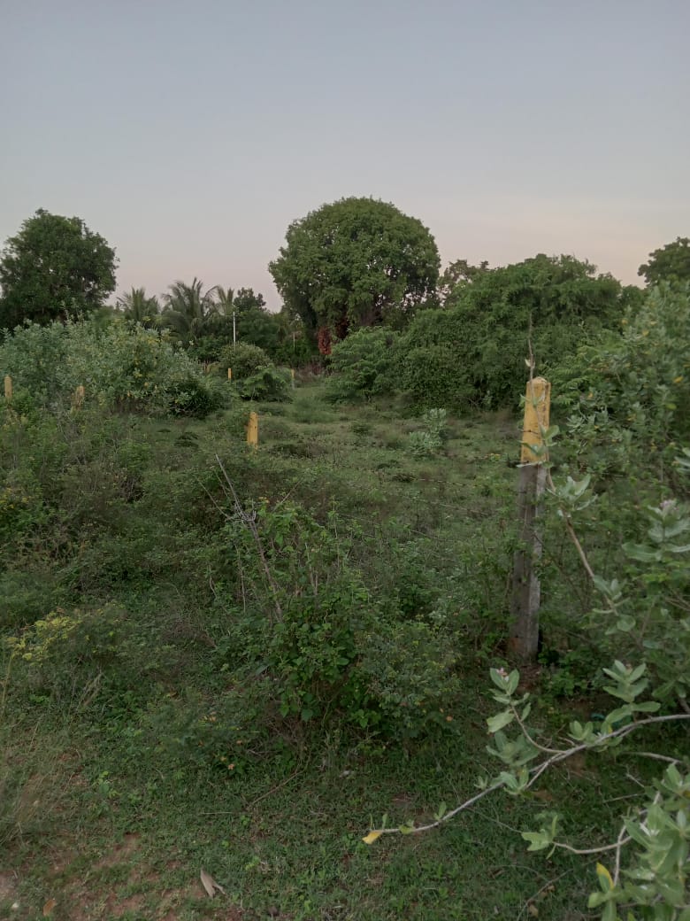 Sea view Cabana for Sale in Kuchchaveli beach