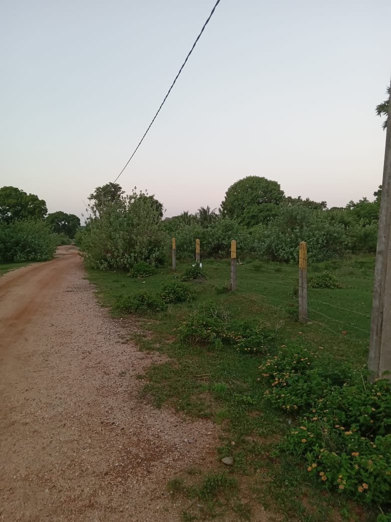 Sea view Cabana for Sale in Kuchchaveli beach