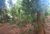 Land For Sale In Kandy City