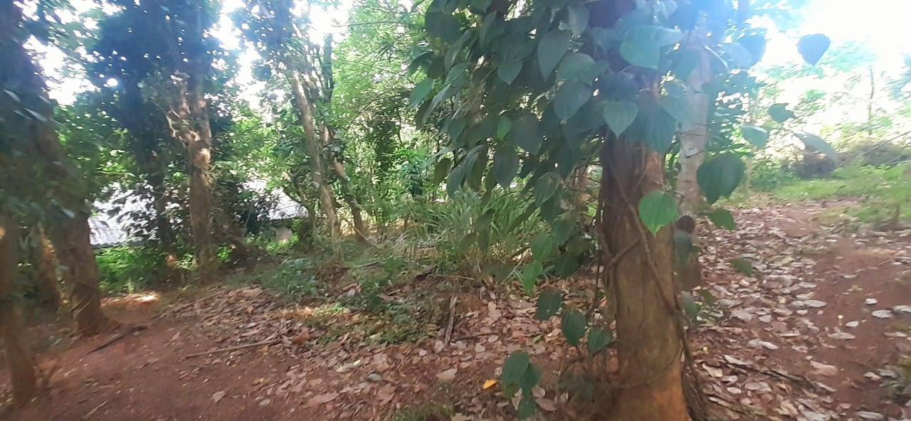 Land For Sale In Kandy City