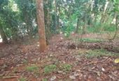 Land For Sale In Kandy City