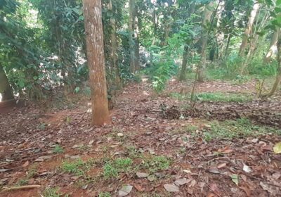 Land For Sale In Kandy City