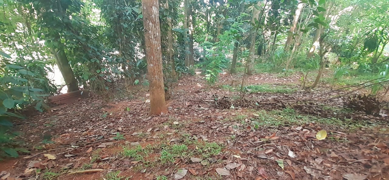 Land For Sale In Kandy City